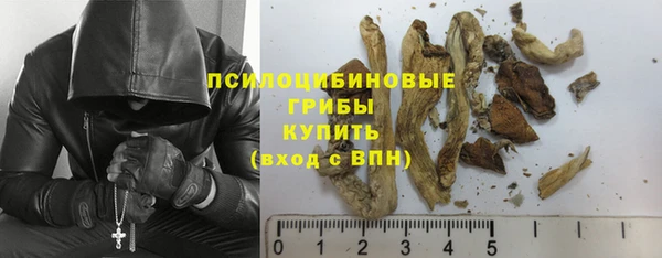 гидропоника Карпинск