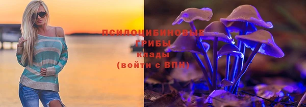 гидропоника Карпинск
