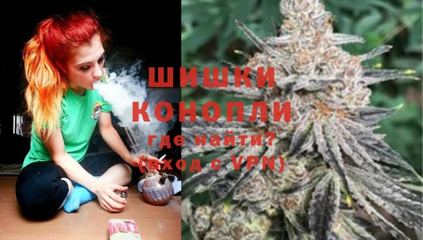 spice Козловка