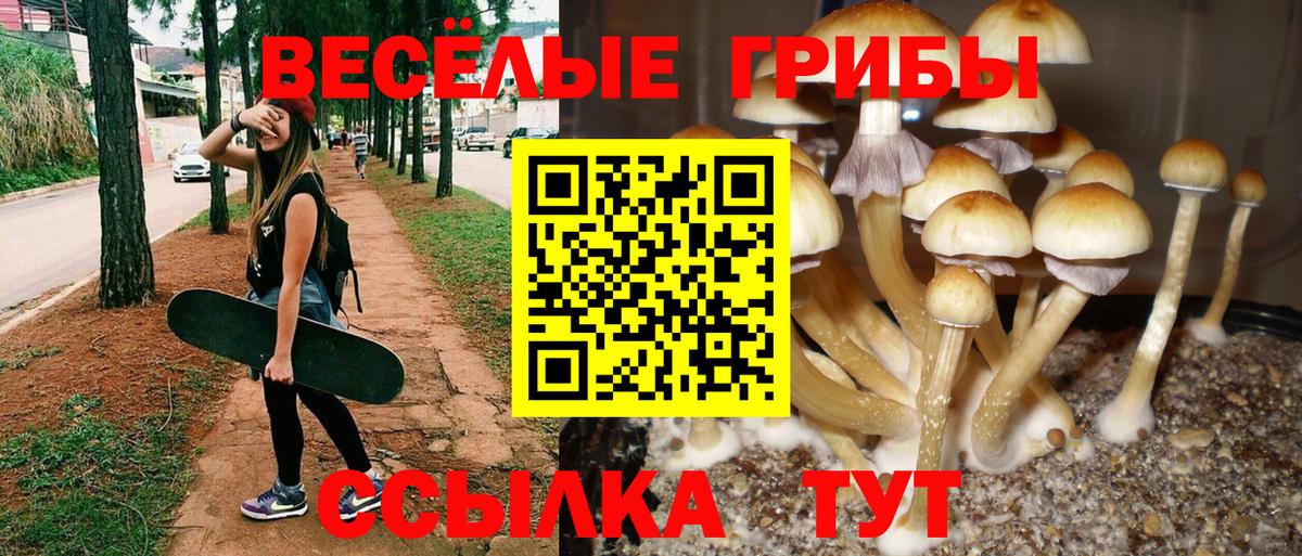 Галлюциногенные грибы прущие грибы  Галлюциногенные грибы Cubensis  Вход с VPN  Лангепас 