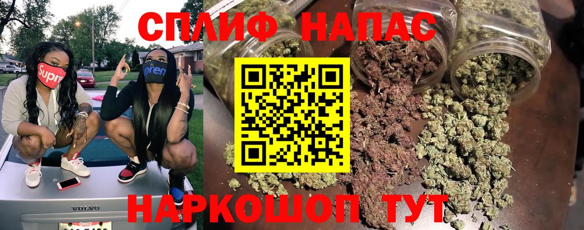 Марихуана сатива  Марихуана план  Каннабис AK-47  Конопля план  Вход с VPN  Лангепас 